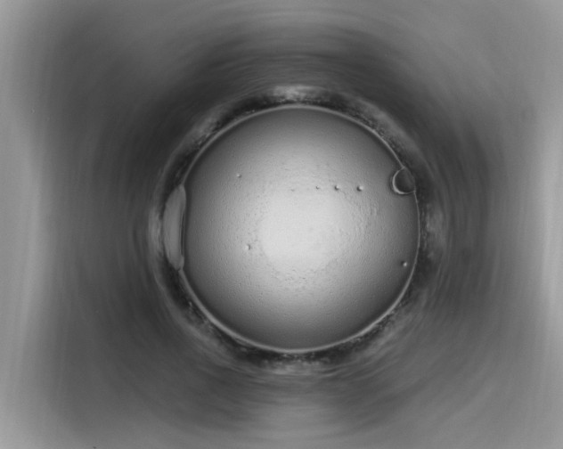 X0000115630734200911171335