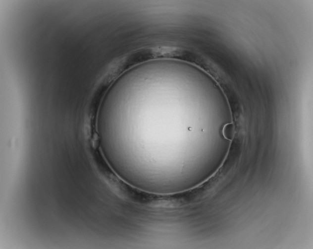 X0000115630738200911171335