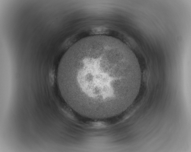 X0000115630741200911171335