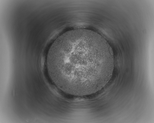 X0000115630742200911171335