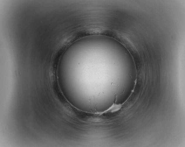 X0000115630743200911171335