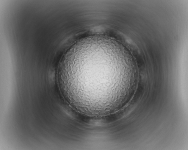 X0000115630745200911171335