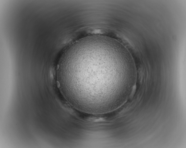 X0000115630747200911171335