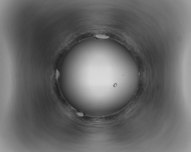 X0000115630750200911171335