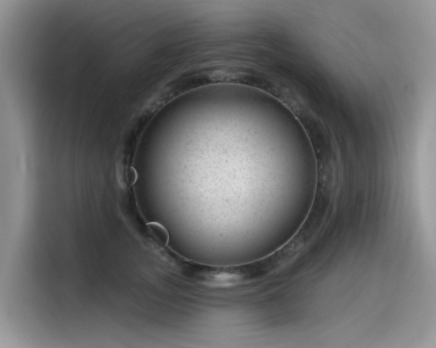 X0000115630755200911171335