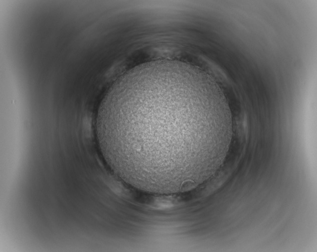 X0000115630757200911171336