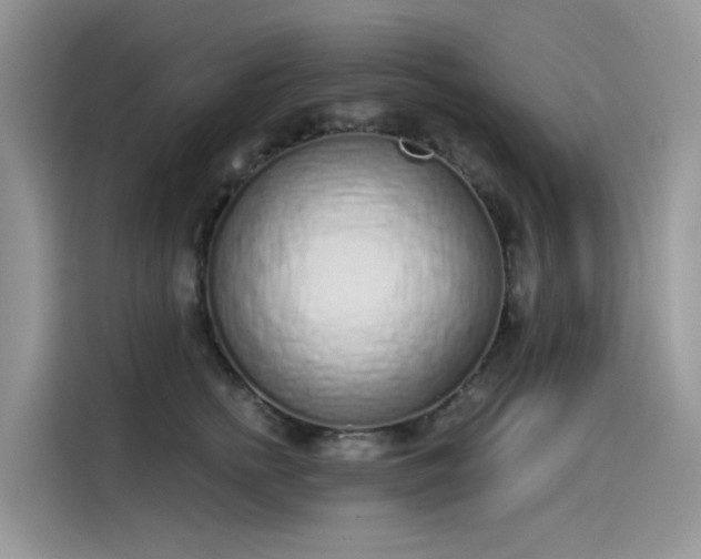 X0000115630758200911171336