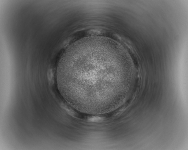 X0000115630759200911171336