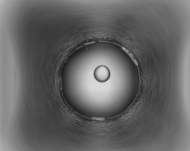 X0000115630769200911171335