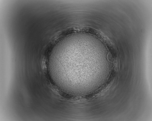 X0000115630770200911171335