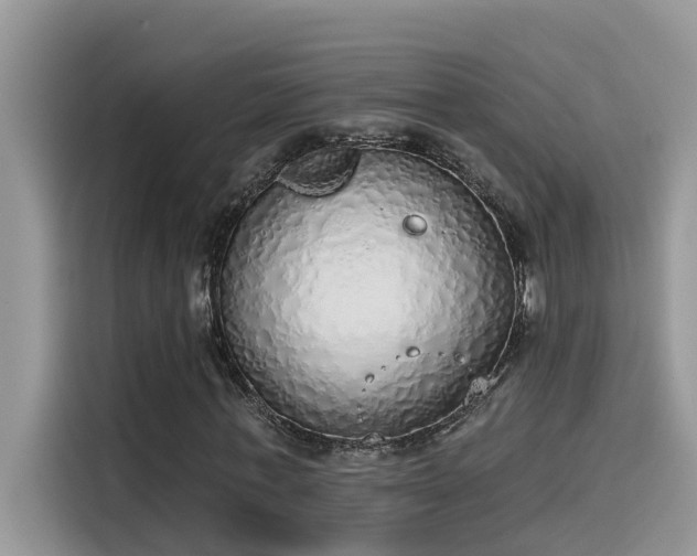 X0000115630771200911171335