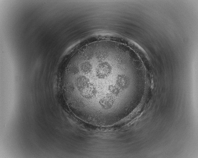 X0000115630775200911171335