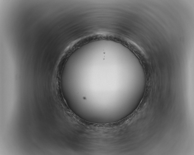 X0000115630776200911171335