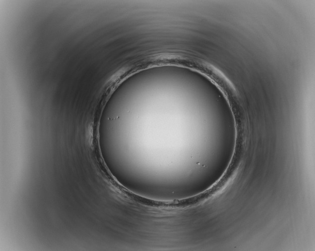 X0000115630777200911171335