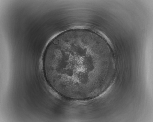 X0000115630779200911171335