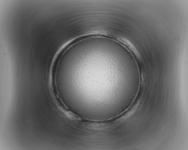 X0000115630780200911171335