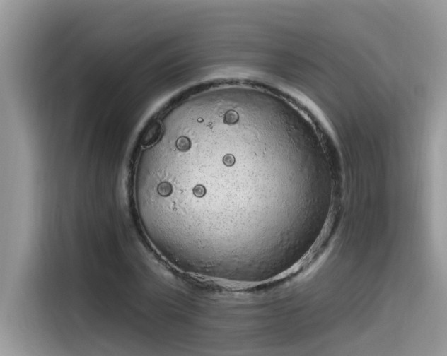 X0000115630783200911171335