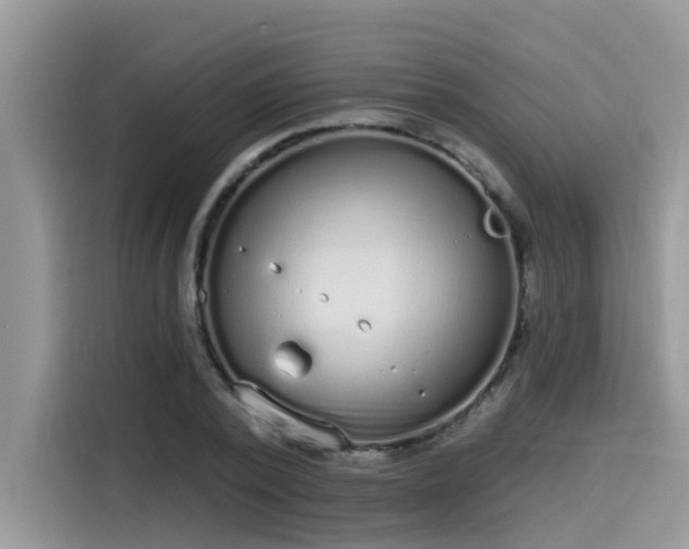 X0000115630784200911171335