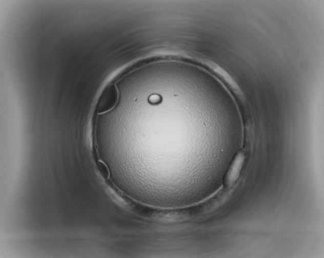 X0000115630791200911171335