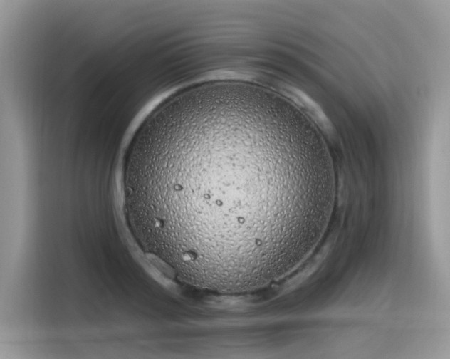 X0000115630796200911171335