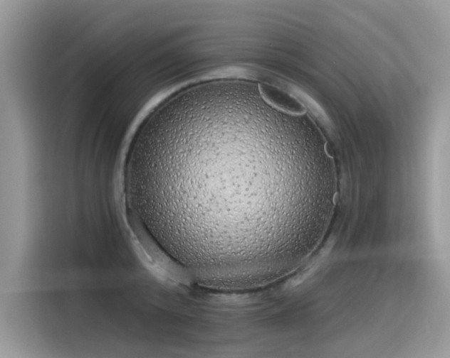 X0000115630800200911171335