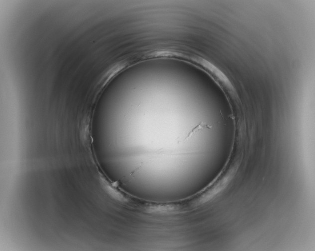 X0000115630801200911171335