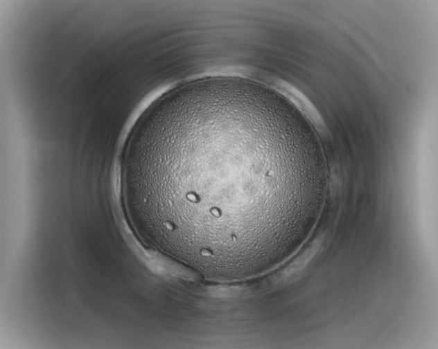 X0000115630804200911171335