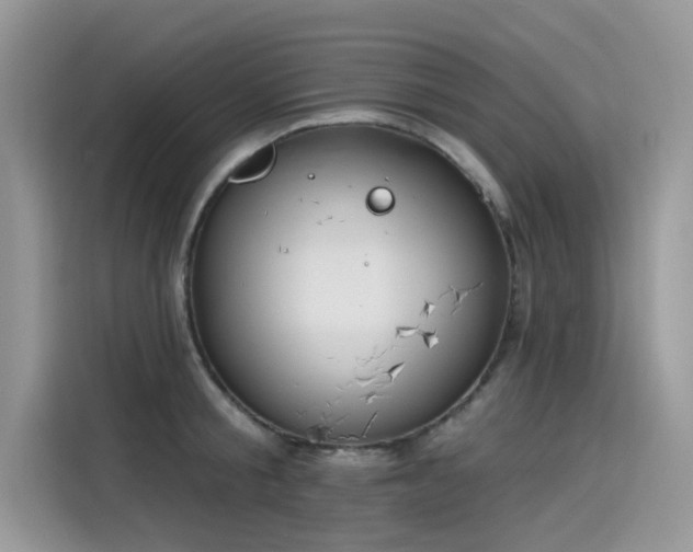 X0000115630805200911171335