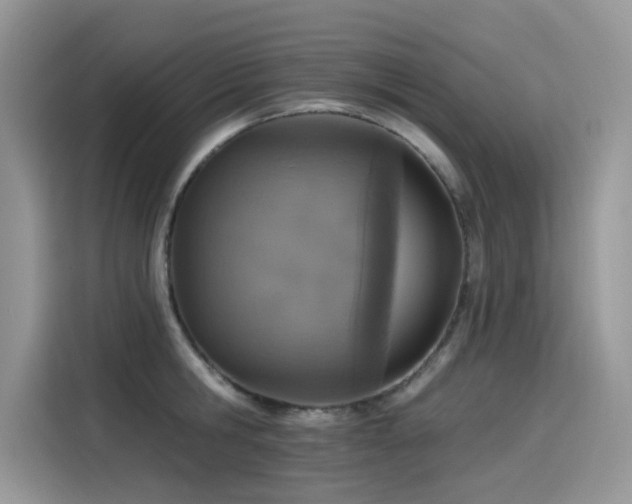 X0000115630806200911171335