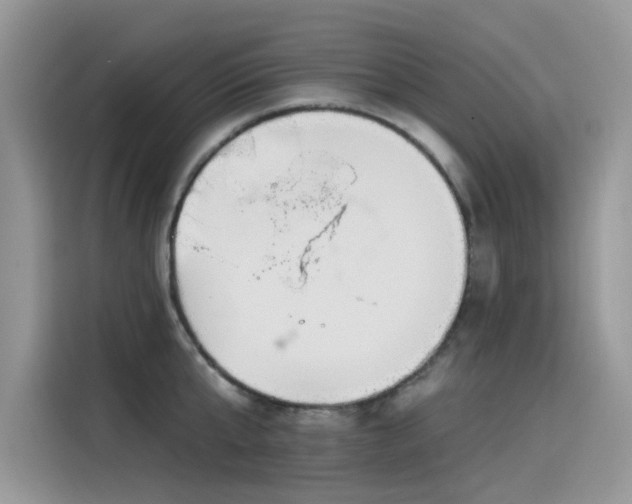 X0000115630807200911171335