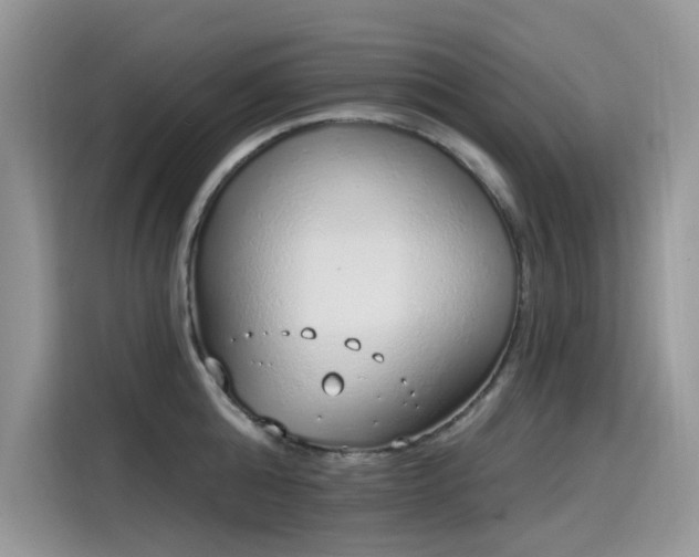 X0000115630808200911171335