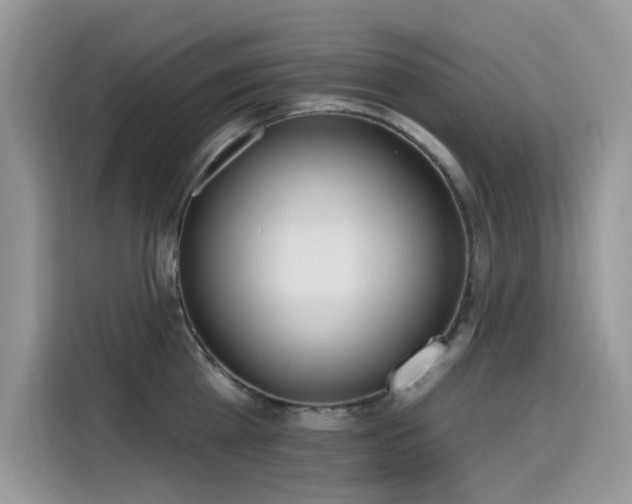 X0000115630809200911171335