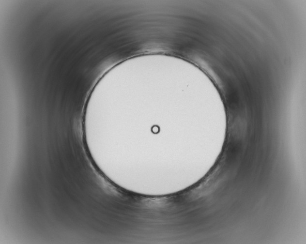 X0000115630810200911171335