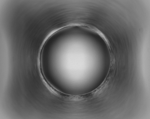 X0000115630811200911171334