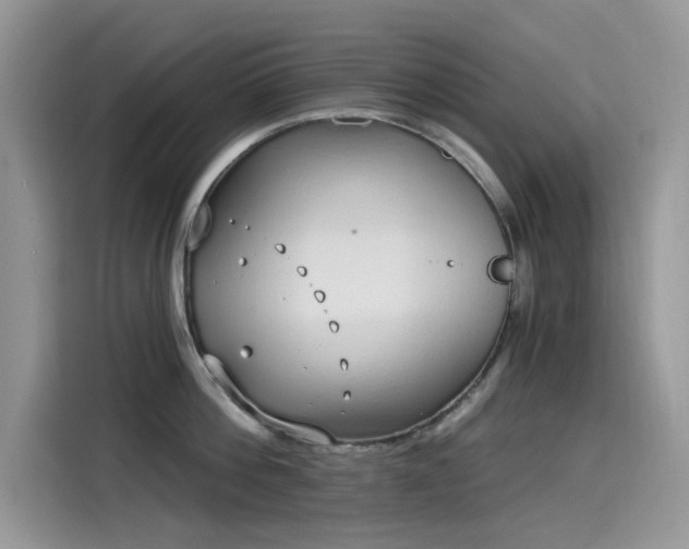 X0000115630812200911171334