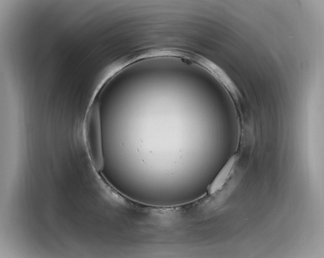 X0000115630813200911171334