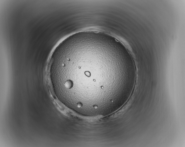 X0000115630816200911171334