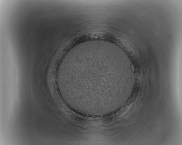 X0000115630817200911171334