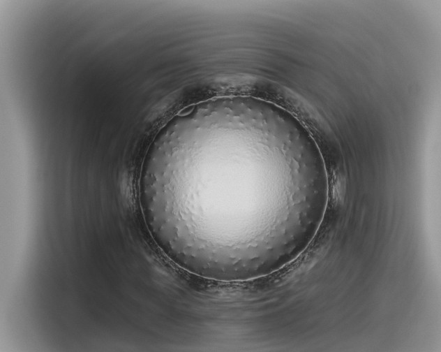 X0000115630819200911171334