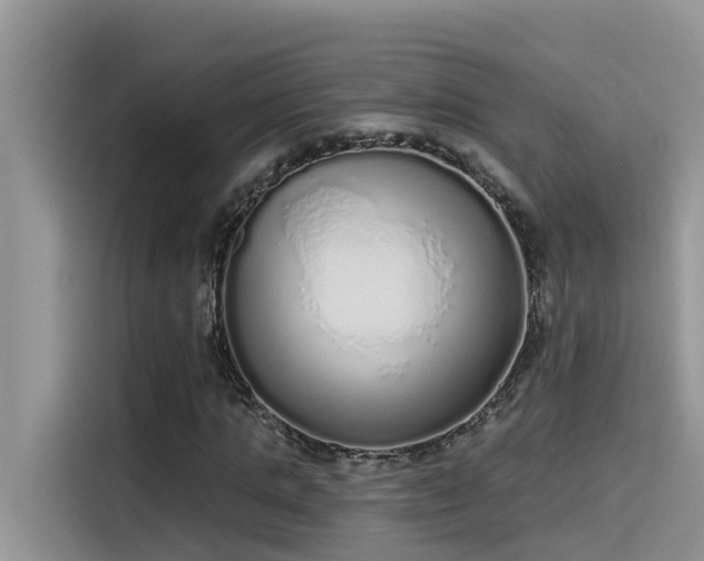 X0000115630821200911171334