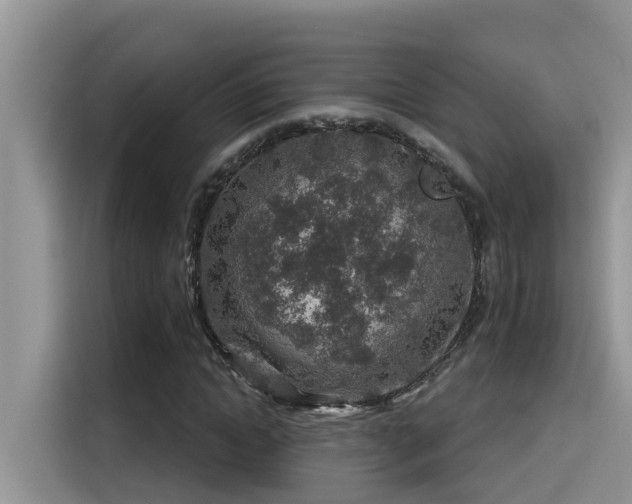 X0000115630822200911171334