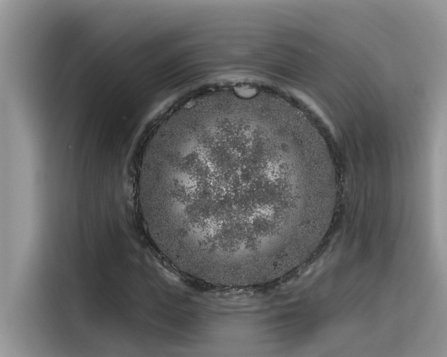 X0000115630823200911171334