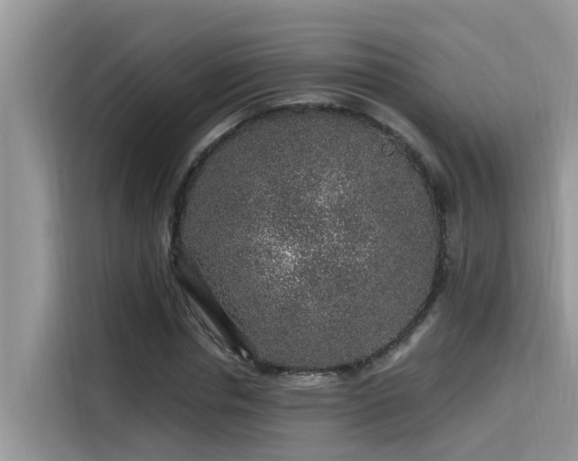 X0000115630826200911171334