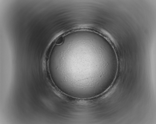 X0000115630827200911171334