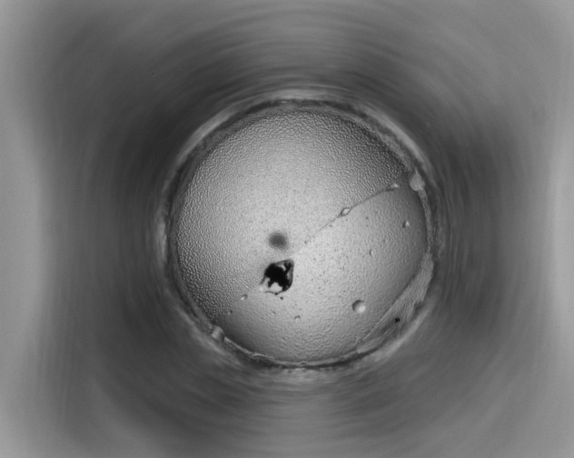 X0000115630829200911171334