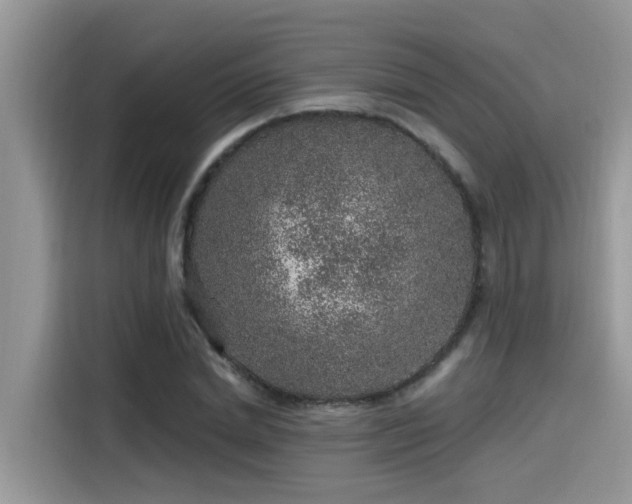 X0000115630830200911171334