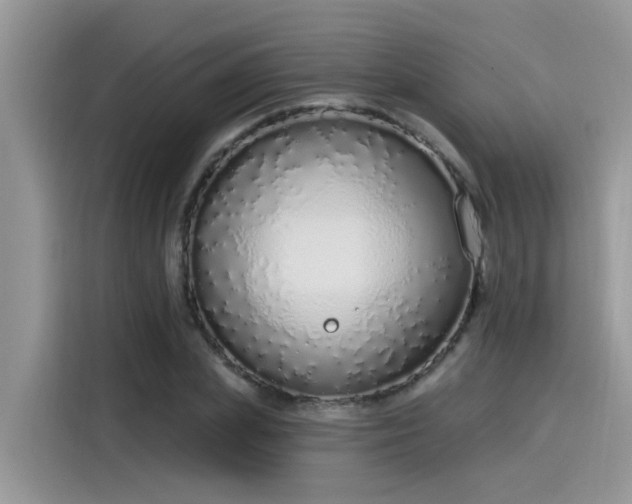 X0000115630831200911171334