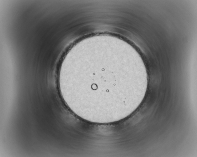 X0000115630832200911171334