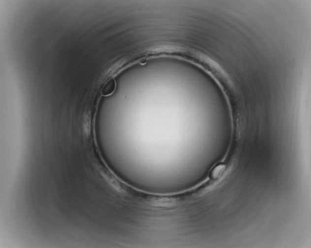 X0000115630833200911171334