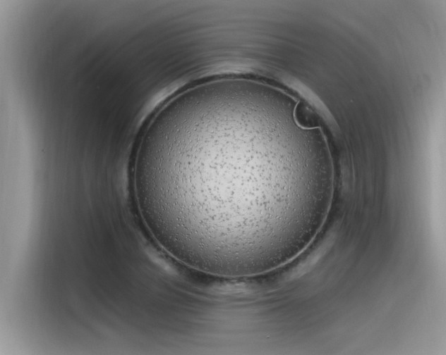 X0000115630834200911171334